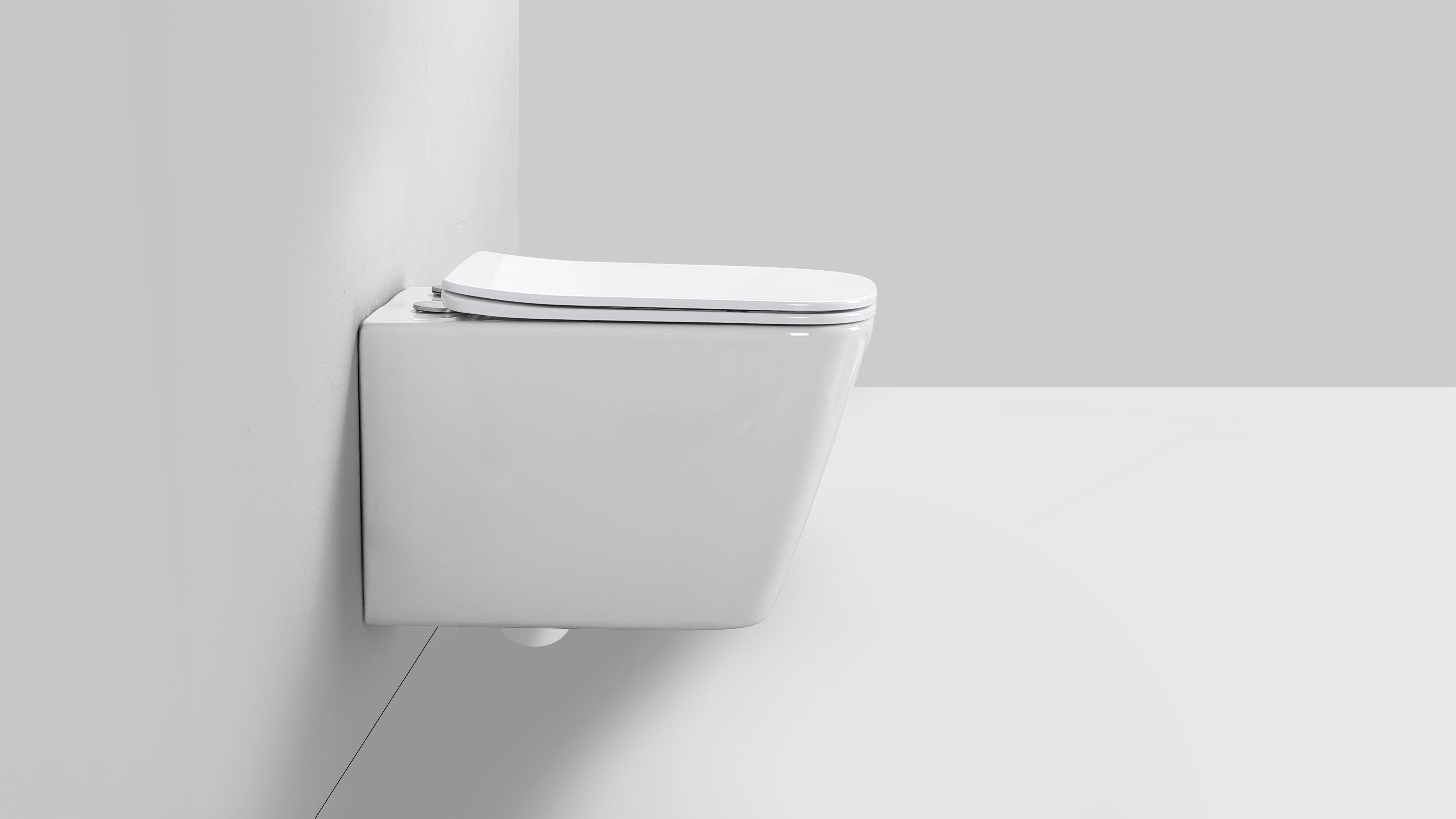 RICO WALL HUNG TOILET PAN & SEAT